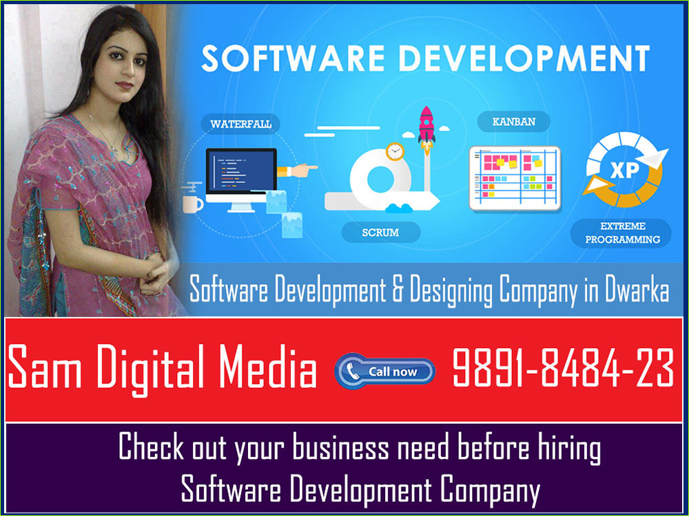 Software Development & Designing Company in Dwarka